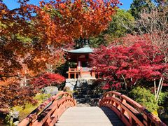-醍醐寺