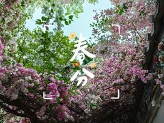 -深圳国际园林花卉博览园