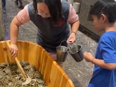 -初色海鲜自助(万丰路店)