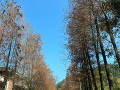 -南沙蒲洲花园
