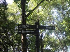 -燕晗山郊野公园