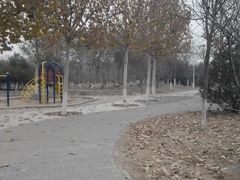 android_upload_pic-桃苑郊野公园