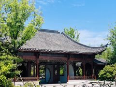 -上海滨江森林公园