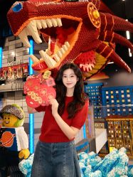 -乐高品牌旗舰店(人民广场店)
