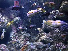 -成都浩海立方海洋公园