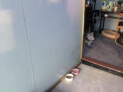 -V一刺青·纹身   穿孔    清洗