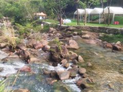 -广州白江湖森林公园