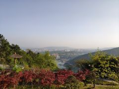 -铁山坪森林公园