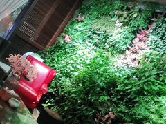 -泽云梵莲花足浴 按摩 SPA(滨湖店)