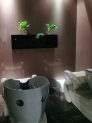 -史云逊养发护发