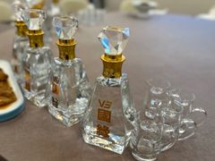 -丁老爷子苏香圆