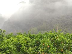 -大新明仕山庄