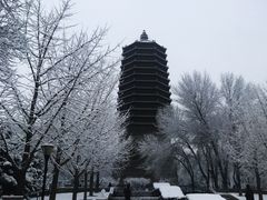 -玲珑塔公园