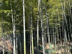 -宝岩生态观光园