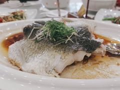 -坚记酒家·佛山老字号·顺德鱼生标准示范店