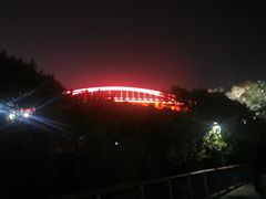 -金鸡山公园