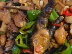 -俭寨大盘鸡·缸子肉·小公鸡·新疆菜(云通店)