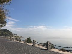 -深圳湾公园(南山区)