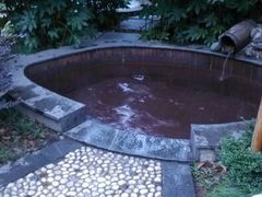 android_upload_pic-黄山温泉国际旅游度假区