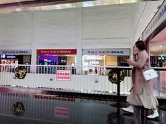 -华谊兄弟影院(IMAX洋桥店)
