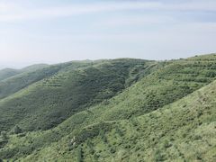 -草原天路(张北县)