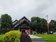 -铁山坪森林公园