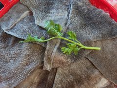 -辣伍鲜毛肚老火锅(元一店)