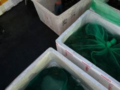 -王四营海鲜市场