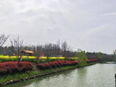 -柳鹭田园区