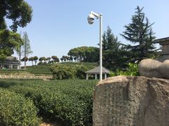 -上海佘山国家森林公园西佘山园