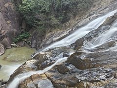 -广州白江湖森林公园