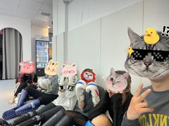 -EFL巴西柔术·综合格斗·泰拳·少儿体能训练(虹桥德必馆)