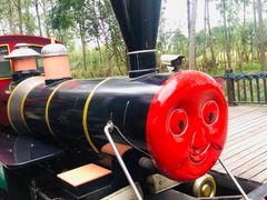 -合肥滨湖国家森林公园