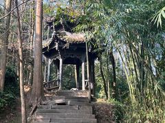 -凤栖山
