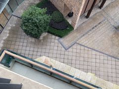 -成都蒲江花样年福朋喜来登度假酒店·宜客乐西餐厅