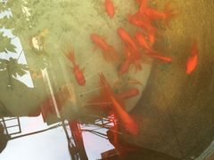 -玉珑泉·汤泉美食水疗(海珠店)