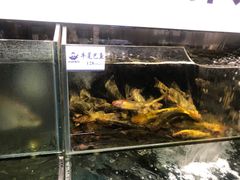-胖姐渔村(中源大道店)