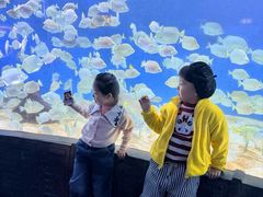 -合肥海洋世界