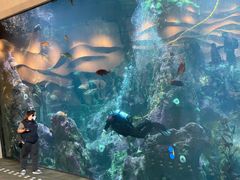 -西雅图水族馆