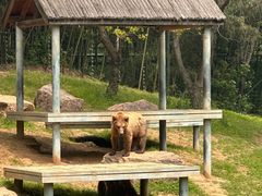 -扬州市茱萸湾风景区