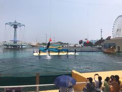 -秦皇岛乐岛海洋王国