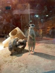 -酷嗒动物文化乐园(cutezoo西溪乐天城店)