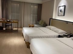 -曙光薇酒店(南京夫子庙老门东店)
