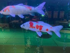 -大江户·温泉洗浴(浑南店)