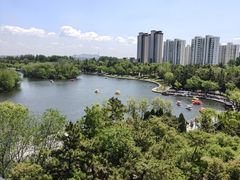 -莱西月湖公园