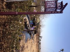 iphone_upload_pic-灵山莲花公园-温泉度假区