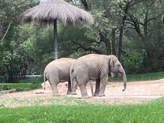 -北京野生动物园
