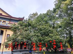 -桂林独秀峰王城景区