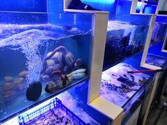 水产区-老虎滩大连海鲜烧烤(建邺云锦路总店)