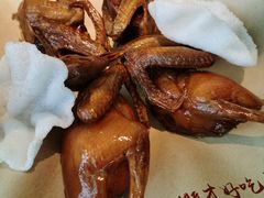 -鸽子侯·家宴·平价海鲜(市图书馆店)